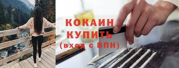 мет Лагань