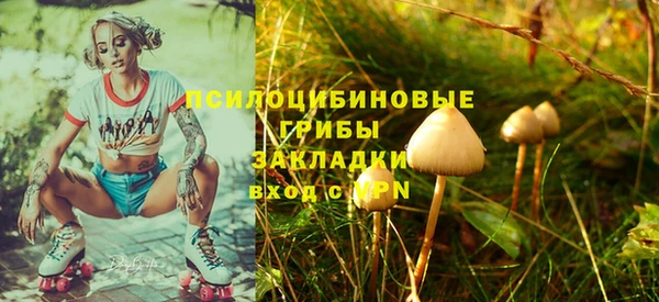дживик Ладушкин
