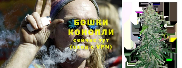 мет Лагань